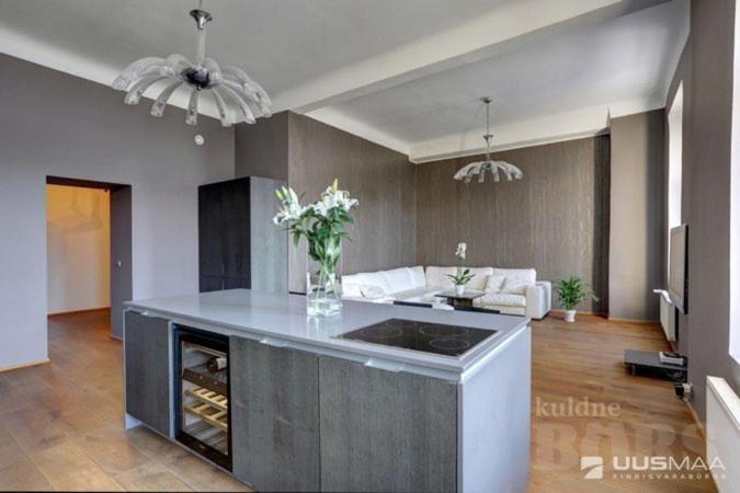 Old Town Apartment 派尔努 外观 照片